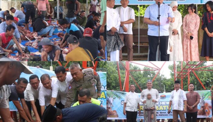 Polres Batu Bara Laksanakan Penyembelihan dan Distribusi Daging Kurban Idul Adha 1447 H, Wujud Kepedulian Sosial Polri Kepada Masyarakat