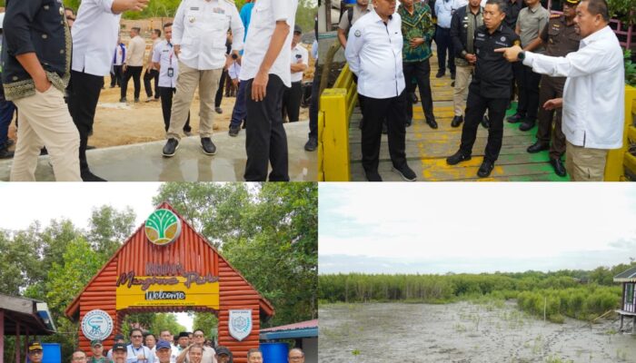 Bupati Batu Bara Pimpin Penanaman Mangrove dan Tinjau Pembangunan Kawasan Nelayan Modern