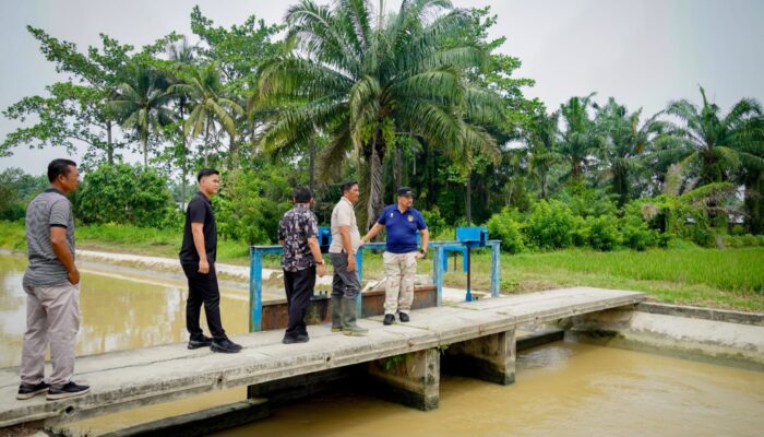 Bupati Baharuddin Tinjau Irigasi Primer Desa Pasar 8, Dorong Penguatan Infrastruktur dan Potensi Rekreasi Air