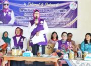 Ketua Tim Pembina Posyandu Kabupaten Simalungun: Posyandu Sudah Bertransformasi Pelayanan 6 Siklus Hidup