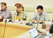 Bupati Simalungun Ikuti Rakor PLN Bahas Pengembangan PLTS dan BESS di Tapian Dolok